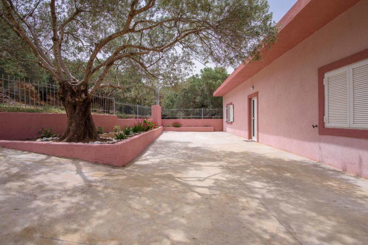 Palm Beach House Sfinárion المظهر الخارجي الصورة