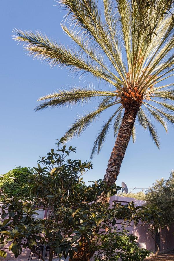 Palm Beach House Sfinárion المظهر الخارجي الصورة