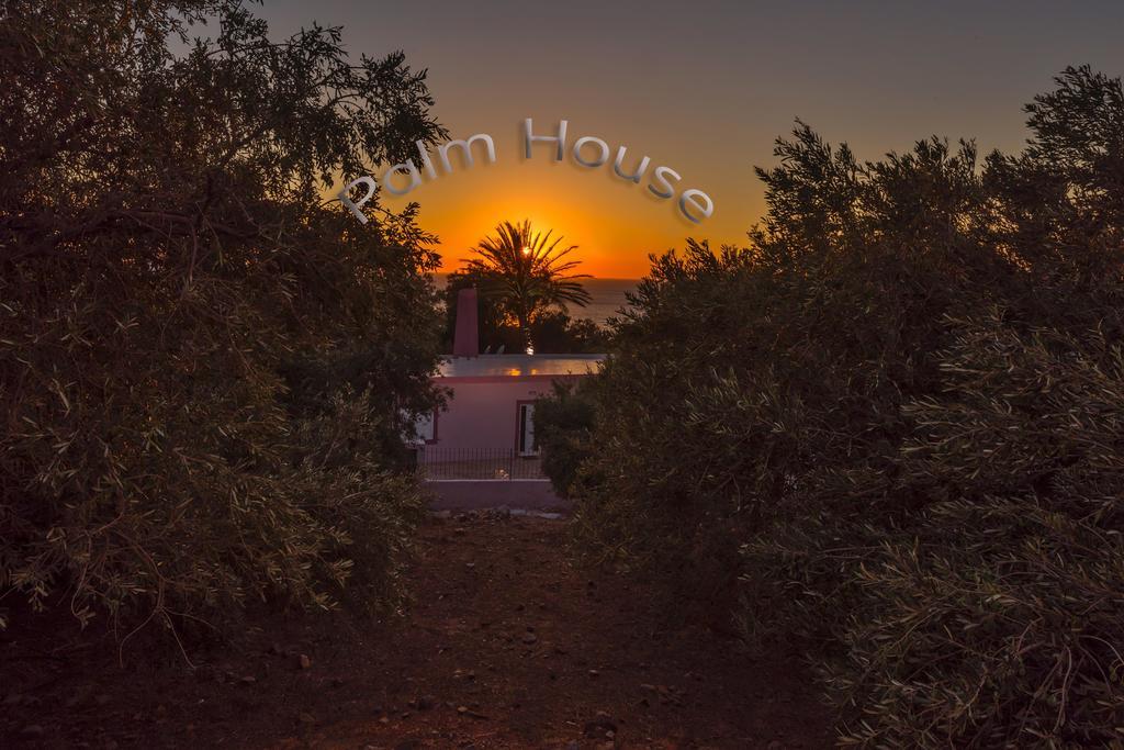 Palm Beach House Sfinárion المظهر الخارجي الصورة