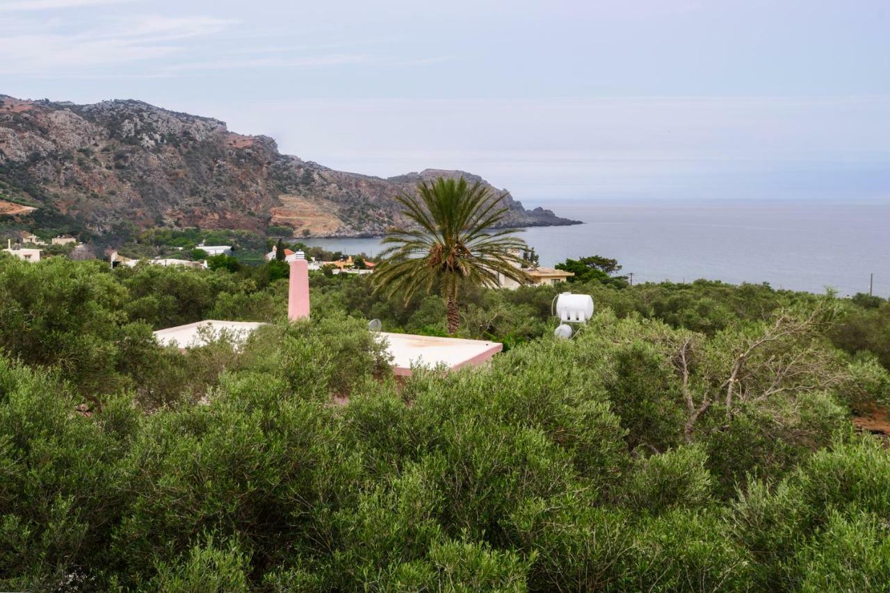Palm Beach House Sfinárion المظهر الخارجي الصورة
